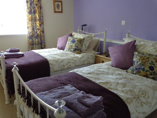 Lodge House B&B Buckland St Mary Cameră foto